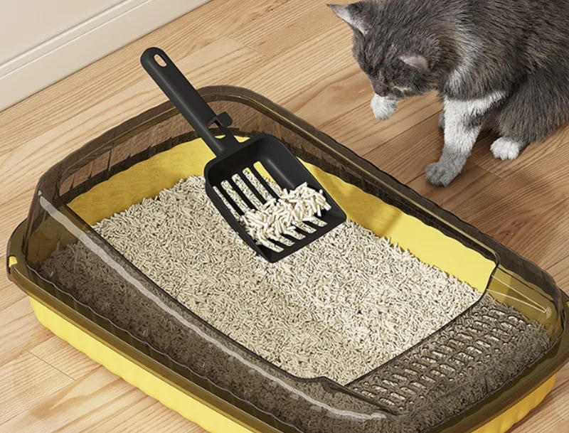 Kann die GRS PP-Katzentoilette die größten Frustrationen von Katzenbesitzern lösen?